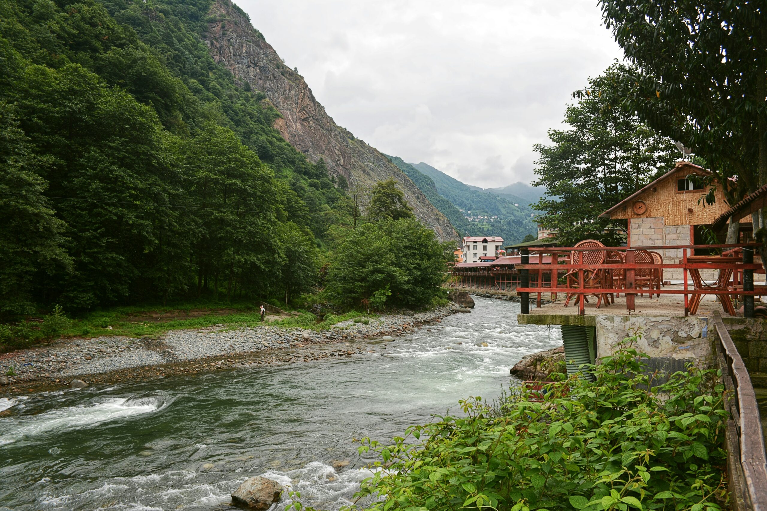 rize2 rize2